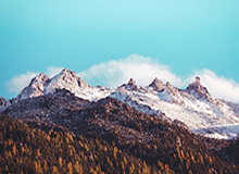 HuaTiHui：让字体成为品牌的温度与笔触